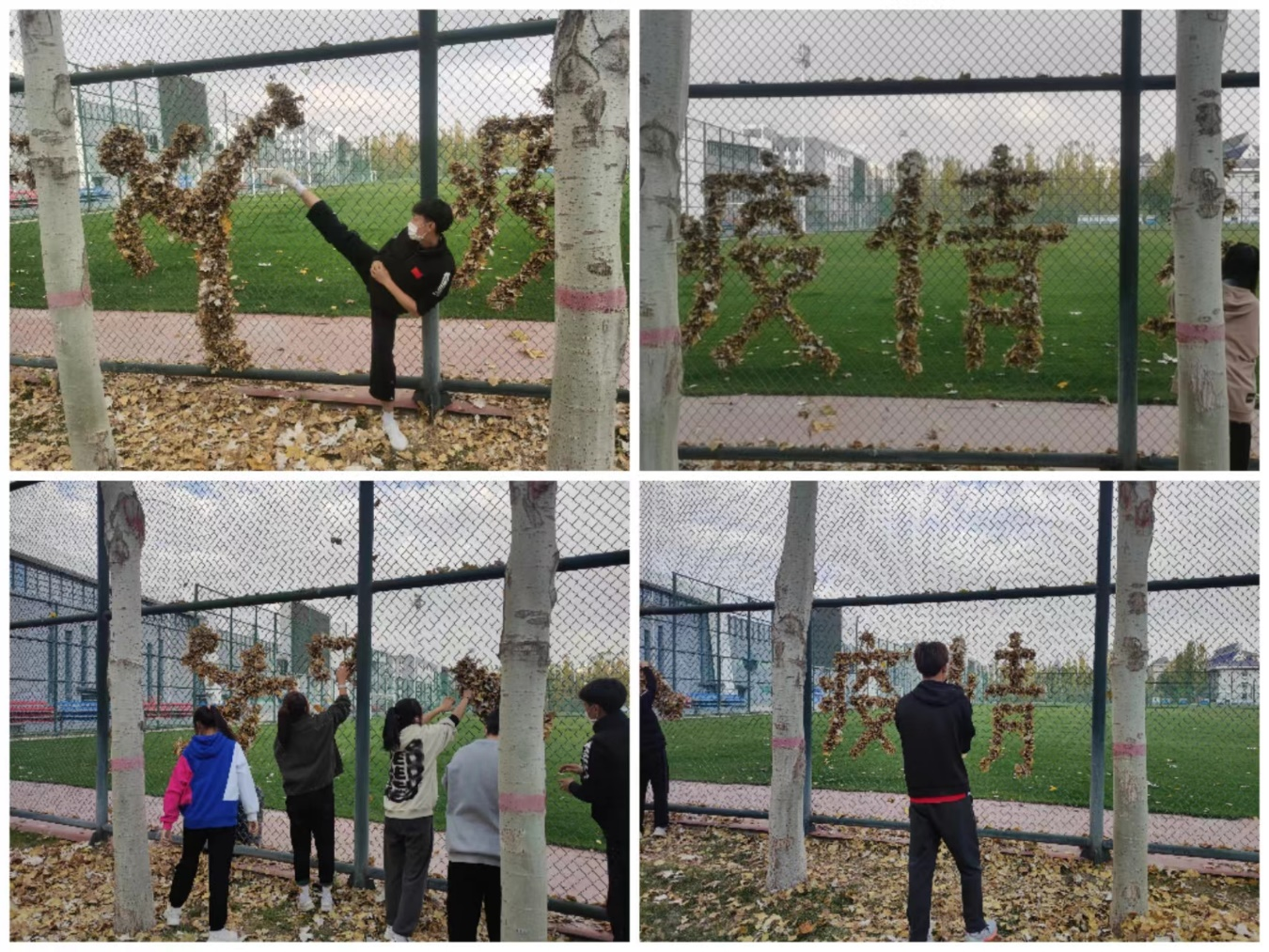 图片10.png 图片10.png