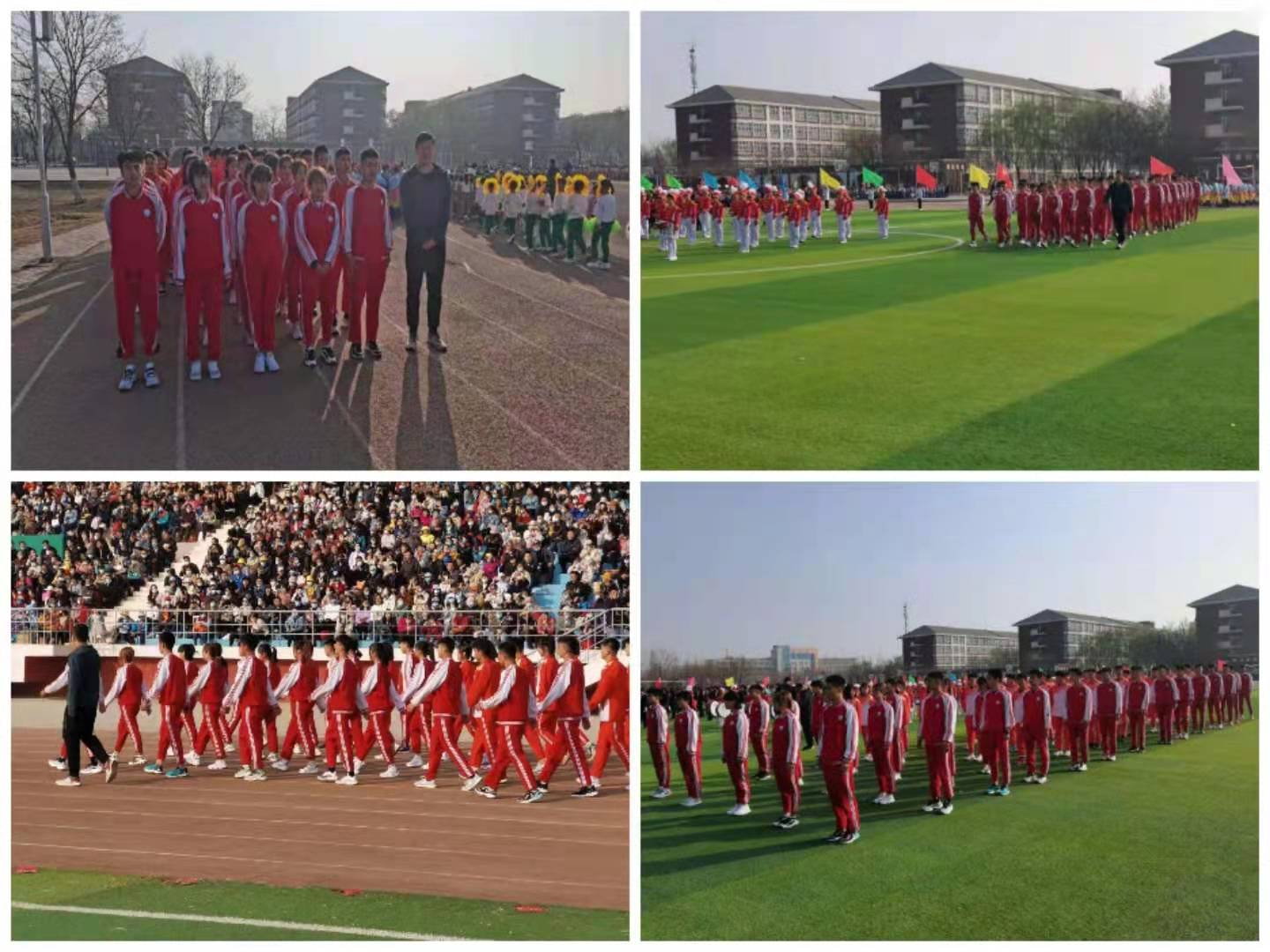 图片3333.png