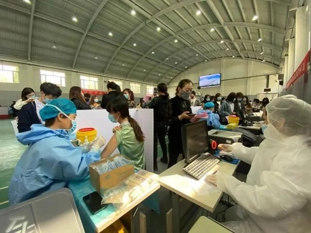 图片456313123.png