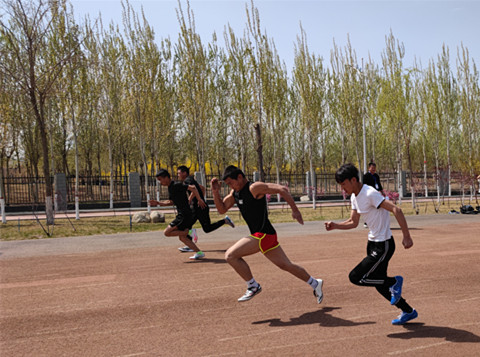 图片4544646.png