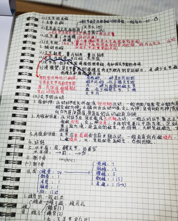 图片16.png