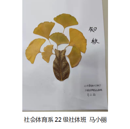微信截图_20221118100419.png